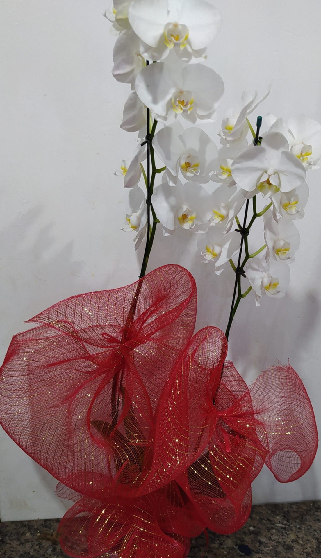 Floricultura Center Flores - Orquídea Phalaenopsis